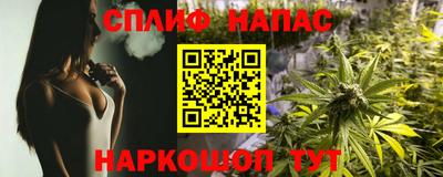 ALPHA PVP Гатчина