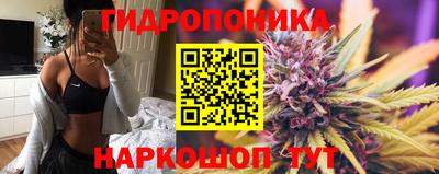 ALPHA PVP Гатчина